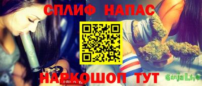 прущие грибы Малгобек