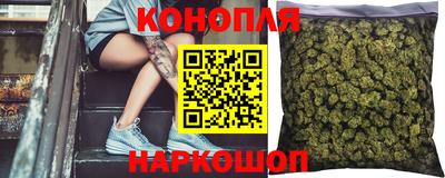 прущие грибы Малгобек