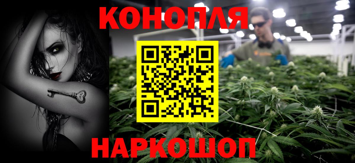 Вичуга  МАРИХУАНА сатива  Вход с VPN  Бошки Шишки план 